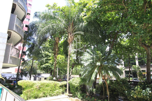 Imagem 20 de 25 de Apartamento - Ref: Svd0204