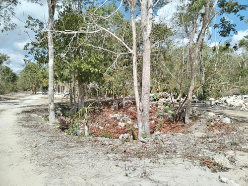Terrenos En Tulúm&francisco Uh May: Naturaleza, Inversión Y Financiamiento Fácil