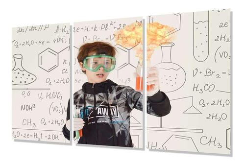 Cuadro Trip 80x120 Quimica Formula Ciencia Cientifico P3