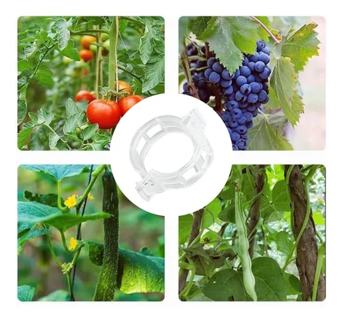 100 Clips De Plástico Fijos Para Plantas De Jardín Garden C