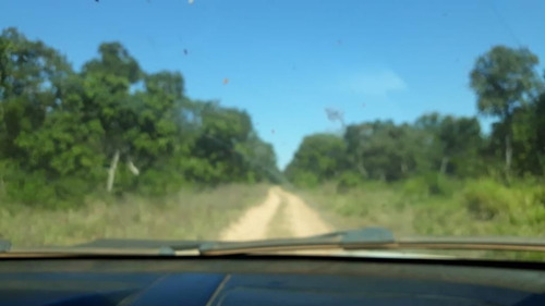Imagem 7 de 17 de Fazenda - Área Rural A Venda Em Barão De Melgaço - Mt - Fa0191