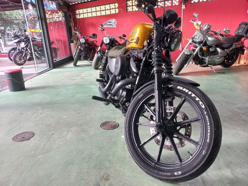 Imagem 6 de 6 de Harley Davidson Xl 883n 2016