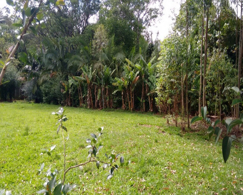 Chácara 1.500 M² - Palermo - Gravataí - Rs - 1083 - 32419604