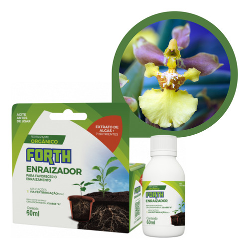 Forth Enraizador 60ml Para Orquídea Oncidium Chuva De Ouro