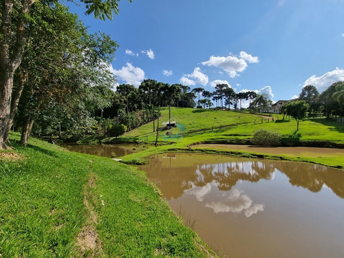 Imagem 16 de 30 de Linda Chacará Com Mais De 36.000 M², Situada Na Cidade De Quitandinha, Paraná. - Ch00019 - 70570203