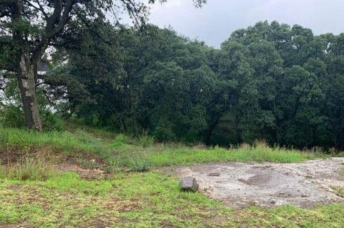 Terreno En Venta Rancho San Juan Cod. Vte727