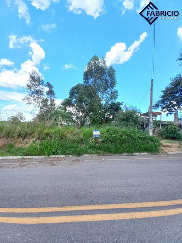 Imagem 6 de 6 de Terreno - Te00085 - 70473400