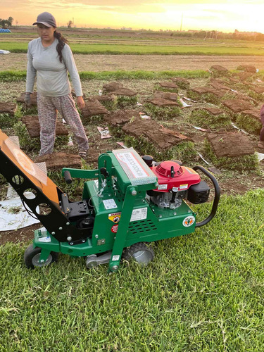 Imagen 19 de 19 de Sod Cutter Saca Champas Tepes Champeadora Cosechadora Grass