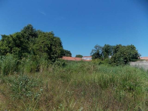 Imagem 3 de 10 de Terreno Bairro Convento Velho A Venda Na Praia De Peruíbe