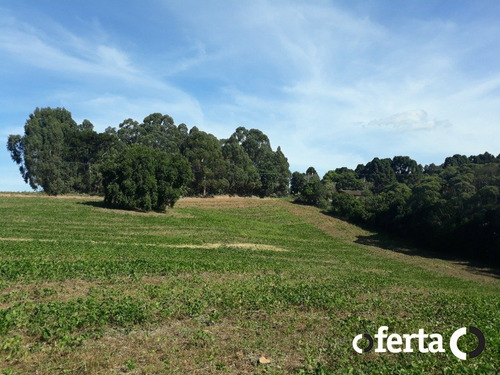 Imagem 10 de 15 de Chacara - Bugre - Ref: 773 - V-773