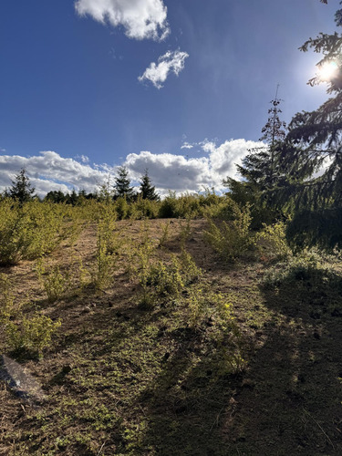 Terreno En Trevelin
