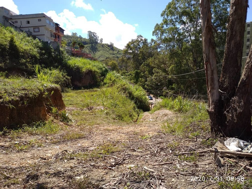 Imagen 7 de 14 de Terreno Colinas De Carrizal