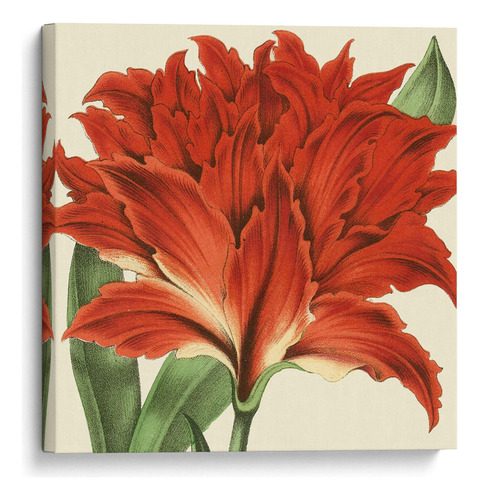 Canvas Lab Cuadro Visión Tropical V 25x25, Vision Studio
