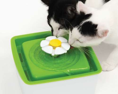 Bebedero Automático Para Gato Catit Flor
