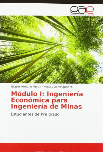 Libro: Módulo I: Ingeniería Económica Ingeniería Min