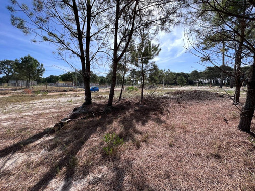 Imagen 9 de 12 de Venta Terreno Lomas De Solymar Canelones