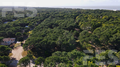 Imagen 2 de 5 de Venta - Lote - Pinamar Norte