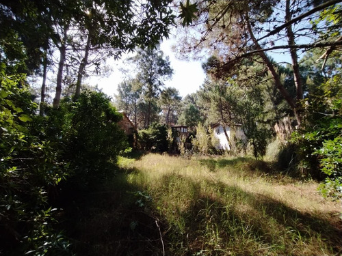Imagen 5 de 7 de Terreno En Venta En Mar De Las Pampas