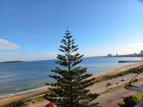  Apartamento En Venta De 3 Dormitorios En Punta Del Este