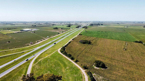 Imagen 9 de 14 de Venta, Campo 10ha Con Frente Sobre Autopista Bs As