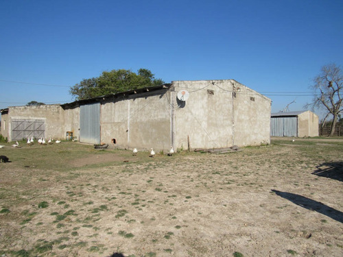 Imagen 10 de 14 de Campo Venta Formosa Agricultura Ganaderia Mixto Mejoras