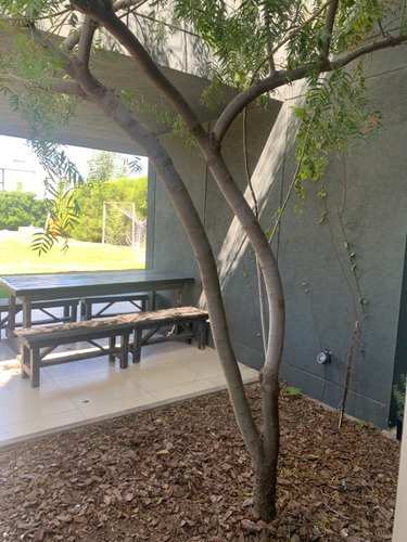 Casa En Venta 5 Amb En Santa Teresa, Villanueva.