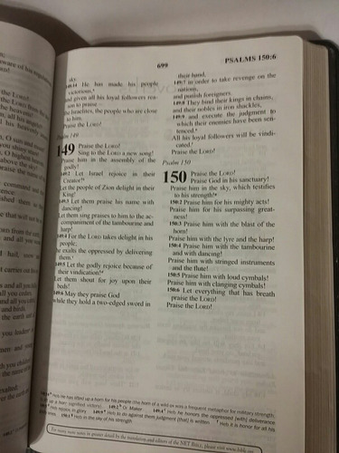 Net Bible, Reader's Edition, Biblia Inglés, Cuero, Premium (Usado)