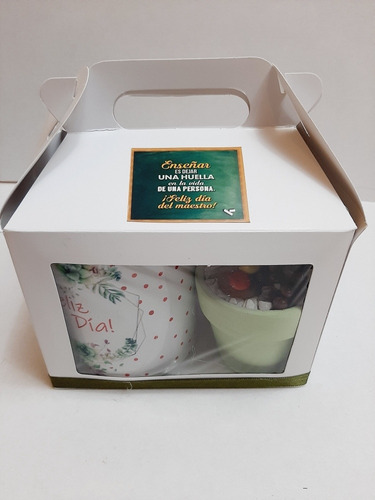 Pack Día Del Maestro Suculentas Regalos Arreglos Naturales