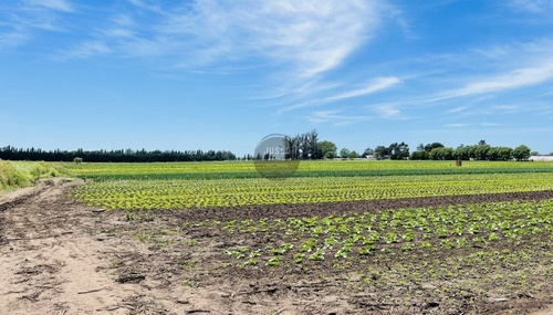 Imagen 6 de 6 de Campo En Santa Paula, Gral. Pueyrredón
