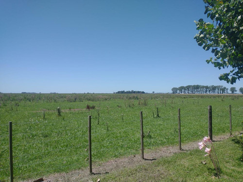 Campo Mixto En Chascomús - Permuta En La Plata