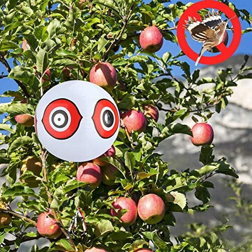 Ojos De Depredador De Pájaros, Ojos Terroristas, Globo Infla