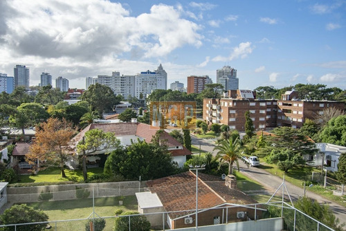 Imagen 13 de 23 de Alexander Boulevard, Apartamento De 3 Dormitorios En Venta
