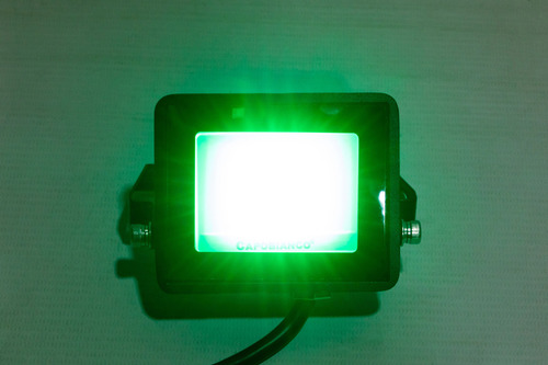 Reflector Led Verde O Azul 10w P/ Decorar Plantas Y Jardines