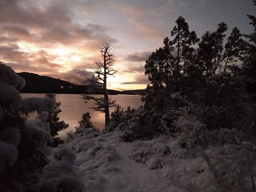 Bariloche - Alquiler - Temporada Invierno 2025 - Dom. 06/07/25 A Dom. 13/07/25 - Dpto. 4 Pers. - Hotel Dut - Julio 2025 - Vacaciones -