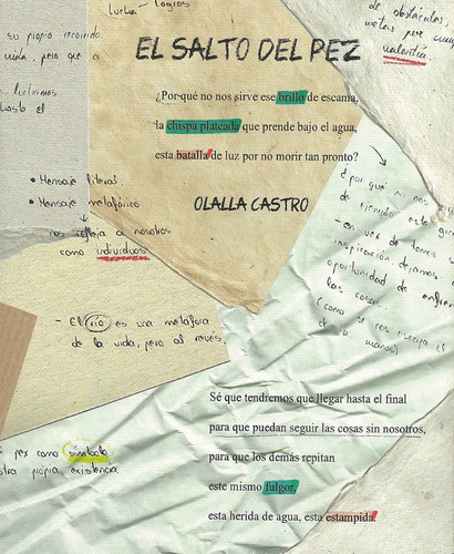 Libro El Salto Del Pez. Libro De Artista - Castro Hernand...