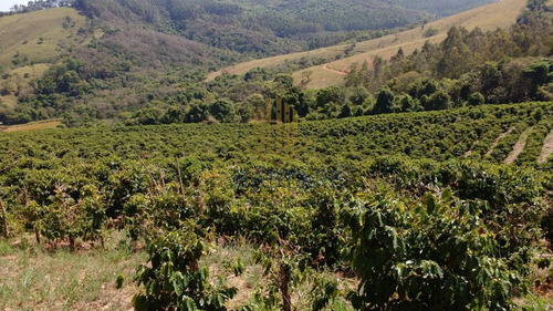 Imagem 15 de 15 de Fazenda Para Venda Em Ouro Fino, Centro - Fazenda 0_1-2237059