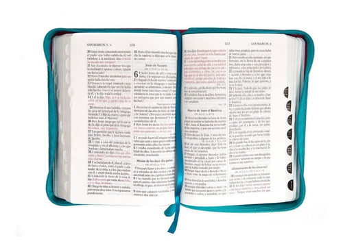 Biblia Cristiana Reina Valera 1960 (mediana) Fucsia/azul ®