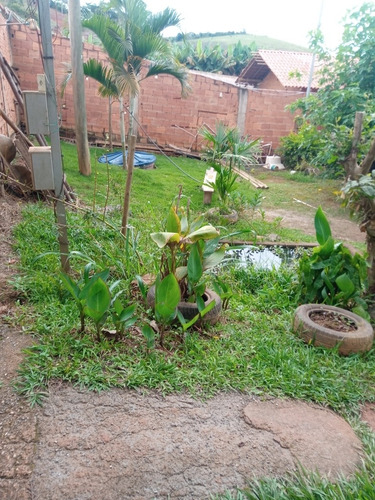 Imagem 10 de 10 de Chacara 1250