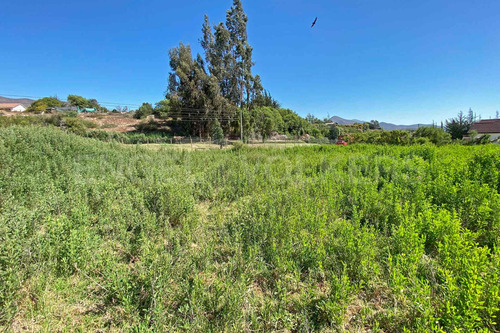 Imagen 6 de 12 de Se Vende Terreno En Fundo La Calera Vicuña