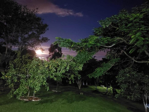 Imagem 26 de 30 de Você Realmente Deveria Morar Nessa Chácara E Nas Próximas Linhas Eu Vou Te Mostrar Exatamente Porque... - 1665