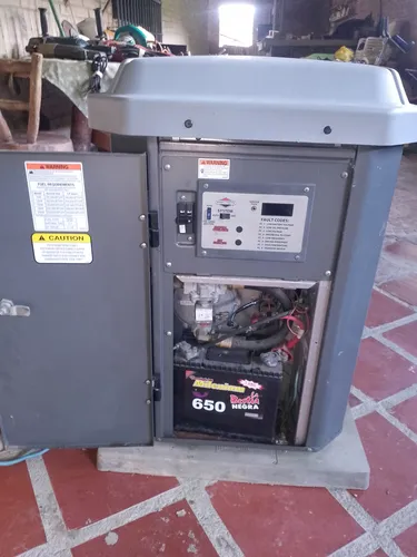 Planta Electrica B&s A Gas