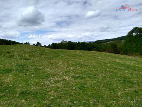 Agrícola Campo O Inmobiliario Loteo En Venta En Panguipulli