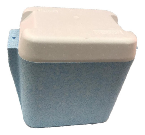 Conservadora Telgopor Fredda 8 Térmica + Refrigerantes Placa