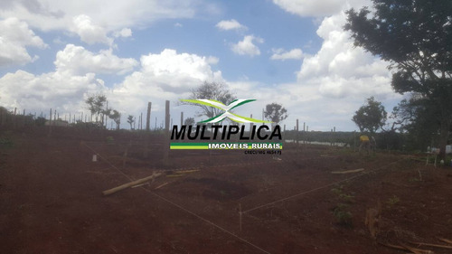 Imagem 7 de 7 de Chácara Uberlândia Mg Córrego 28.730 M², Cercada, Oportunidade - 481