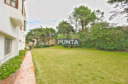 Imagen 3 de 27 de Casa En Alquiler - San Rafael