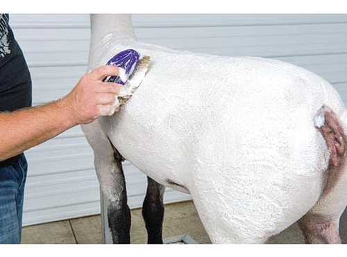 ChampĂș Iluminador Para Ganado Weaver Leather, 1 Quarto De