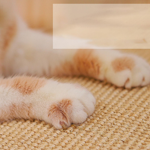 Alfombrilla Rascadora Para Gatos, Protector De 30cmx40cm
