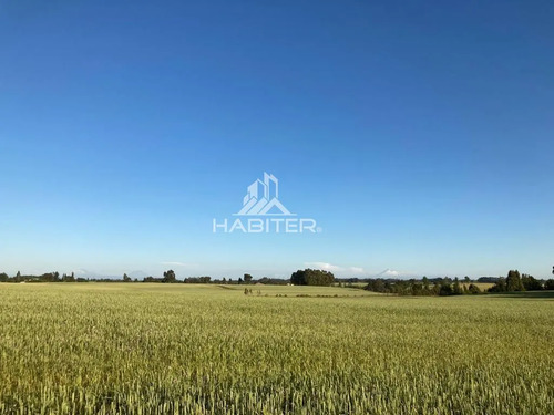 Cod36634 Campo Agrícola De 19 Hectareas En Venta En Victoria