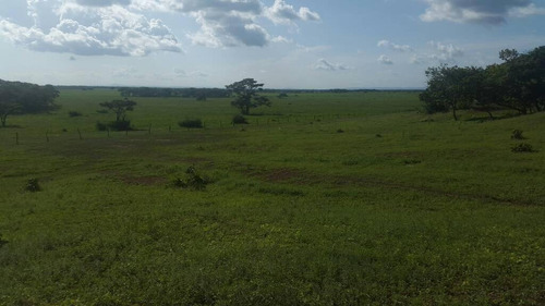 Imagen 1 de 14 de Terreno En Venta En San Carlos
