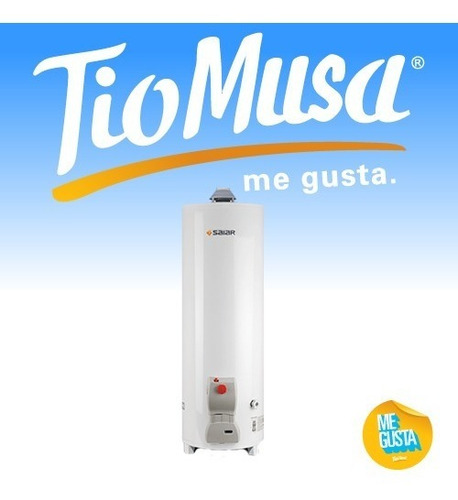 Termotanque a gas Saiar de pie 80 litros